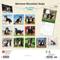 Show in main carousel: Bernese Mountain Dogs 2026 Square Flap Wall Calendar slide 2 of 4