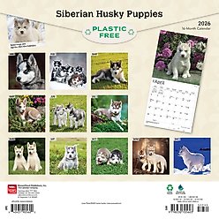 Siberian Husky Puppies 2026 Square Flap Wall Calendar slide 2 of 4