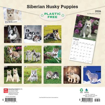 Show full view: Siberian Husky Puppies 2026 Square Flap Wall Calendar slide 2 of 4