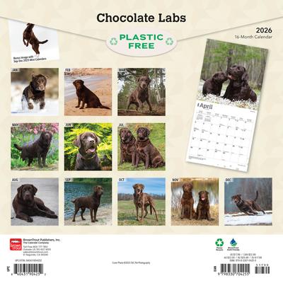 Show full view: Labrador Retrievers, Chocolate 2026 Square Flap Wall Calendar slide 2 of 4