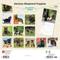 Show in main carousel: German Shepherd Puppies 2026 Square Flap Wall Calendar slide 2 of 4