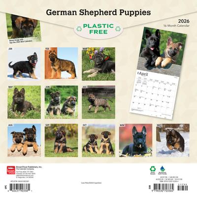 Show full view: German Shepherd Puppies 2026 Square Flap Wall Calendar slide 2 of 4