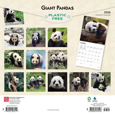 Show full view: Giant Pandas 2026 Square Flap Wall Calendar slide 2 of 4