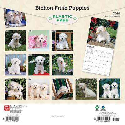 Show full view: Bichon Frise Puppies 2026 Square Flap Wall Calendar slide 2 of 4