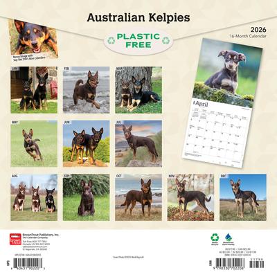 Show full view: Australian Kelpies 2026 Square Flap Wall Calendar slide 2 of 4
