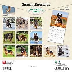 German Shepherds 2026 Square Flap Wall Calendar slide 2 of 4