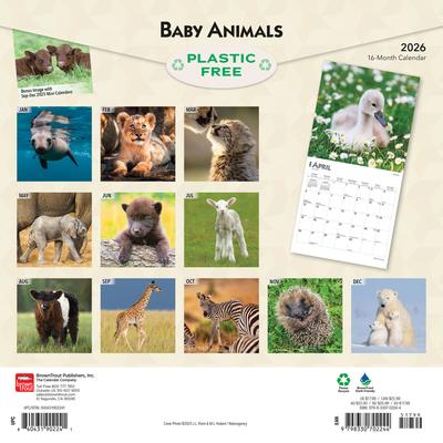 Show full view: Baby Animals 2026 Square Flap Wall Calendar slide 2 of 4