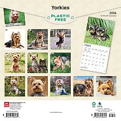 Yorkshire Terriers 2026 Square Flap Wall Calendar slide 2 of 4