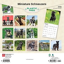 Schnauzers, Miniature 2026 Square Flap Wall Calendar slide 2 of 4