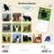 Show in main carousel: Newfoundlands 2026 Square Flap Wall Calendar slide 2 of 4