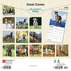 Great Danes 2026 Square Flap Wall Calendar slide 2 of 4