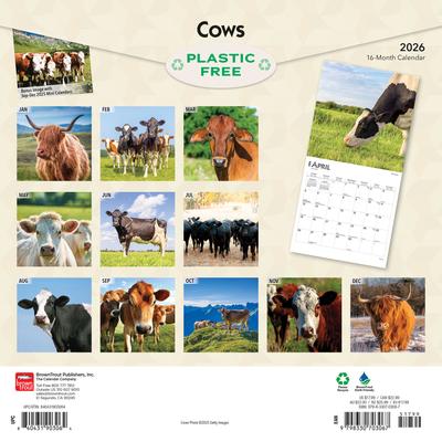 Show full view: Cows 2026 Square Flap Wall Calendar slide 2 of 4