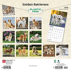 Golden Retrievers 2026 Square Flap Foil Wall Calendar slide 2 of 4