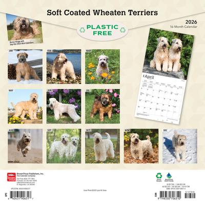 Show full view: Wheaten Terriers, Soft Coated 2026 Square Flap Wall Calendar slide 2 of 4