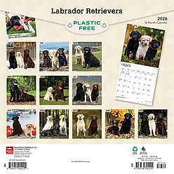 Labrador Retrievers 2026 Square Flap Wall Calendar slide 2 of 4