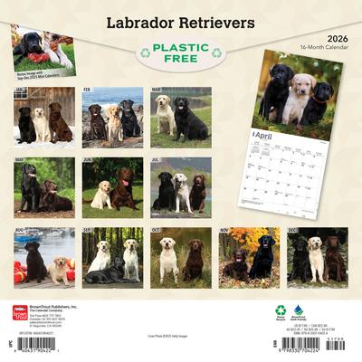 Show full view: Labrador Retrievers 2026 Square Flap Wall Calendar slide 2 of 4