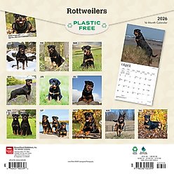 Rottweilers 2026 Square Flap Wall Calendar slide 2 of 4