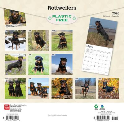 Show full view: Rottweilers 2026 Square Flap Wall Calendar slide 2 of 4