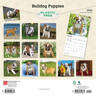 Show full view: Bulldog Puppies 2026 Square Flap Wall Calendar slide 2 of 4