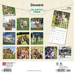 Donkeys 2026 Square Flap Wall Calendar slide 2 of 4