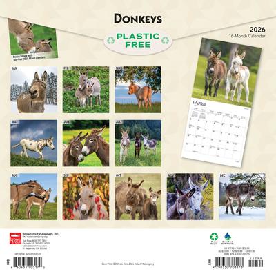 Show full view: Donkeys 2026 Square Flap Wall Calendar slide 2 of 4