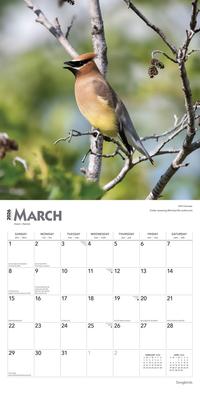Show full view: Songbirds 2026 Square Flap Foil Wall Calendar slide 3 of 4