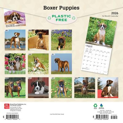 Show full view: Boxer Puppies 2026 Square Flap Wall Calendar slide 2 of 4