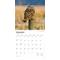 Show in main carousel: Owls 2026 Square Flap Wall Calendar slide 3 of 4