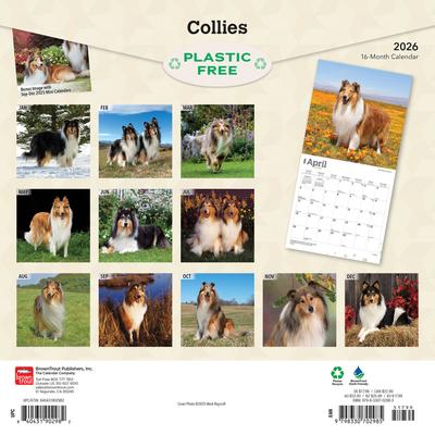 Show full view: Collies 2026 Square Flap Wall Calendar slide 2 of 4