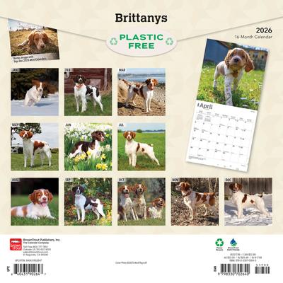 Show full view: Brittanys 2026 Square Flap Wall Calendar slide 2 of 4