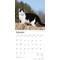 Show in main carousel: Tuxedo Cats 2026 Square Flap Wall Calendar slide 3 of 4