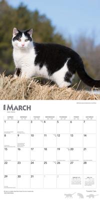 Show full view: Tuxedo Cats 2026 Square Flap Wall Calendar slide 3 of 4
