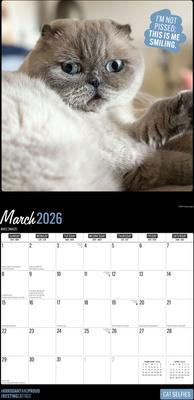 Show full view: Cat Selfies 2026 Square Flap Wall Calendar slide 3 of 4