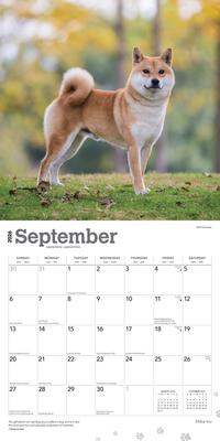 Show full view: Shiba Inu 2026 Square Flap Wall Calendar slide 4 of 4