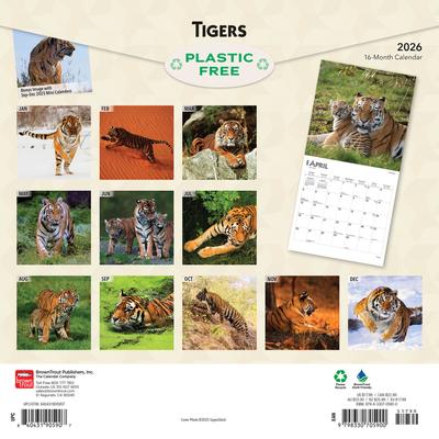 Show full view: Tigers 2026 Square Flap Wall Calendar slide 2 of 4