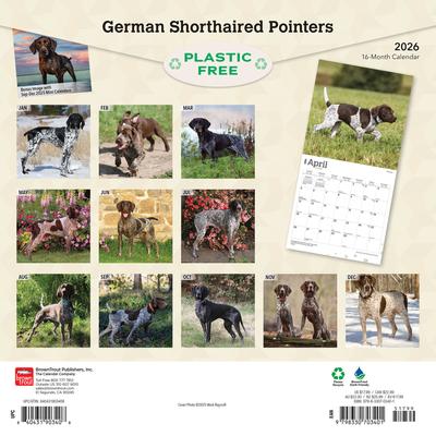 Show full view: German Shorthaired Pointers 2026 Square Flap Wall Calendar slide 2 of 4
