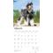 Show in main carousel: Schnauzers, Miniature 2026 Square Flap Wall Calendar slide 3 of 4