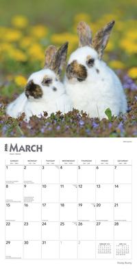 Show full view: Honey Bunny 2026 Square Flap Wall Calendar slide 3 of 4