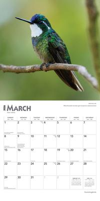 Show full view: Hummingbirds 2026 Square Flap Foil Wall Calendar slide 3 of 4