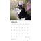 Show in main carousel: Shiba Inu 2026 Square Flap Wall Calendar slide 3 of 4