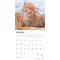 Show in main carousel: Ginger Cats 2026 Square Flap Wall Calendar slide 3 of 4
