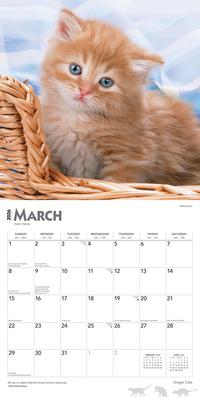Show full view: Ginger Cats 2026 Square Flap Wall Calendar slide 3 of 4
