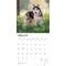 Show in main carousel: Siberian Huskies 2026 Square Flap Wall Calendar slide 3 of 4