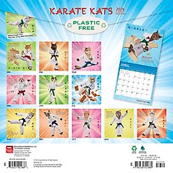 Karate Kats 2026 Square Flap Wall Calendar slide 2 of 4