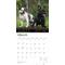 Show in main carousel: French Bulldogs 2026 Square Flap Wall Calendar slide 3 of 4
