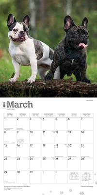 Show full view: French Bulldogs 2026 Square Flap Wall Calendar slide 3 of 4