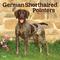Show in main carousel: German Shorthaired Pointers 2026 Square Flap Wall Calendar slide 1 of 4