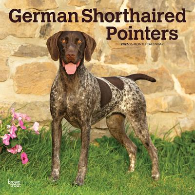 Show full view: German Shorthaired Pointers 2026 Square Flap Wall Calendar slide 1 of 4