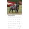 Show in main carousel: French Bulldogs 2026 Square Flap Wall Calendar slide 4 of 4