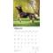 Show in main carousel: Belgian Malinois 2026 Square Flap Wall Calendar slide 3 of 4